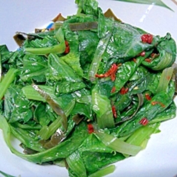 減塩、簡単!!阿蘇高菜漬け
